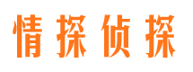 石屏侦探公司